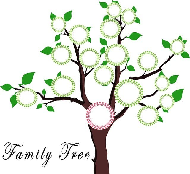 Free family tree maker software for mac